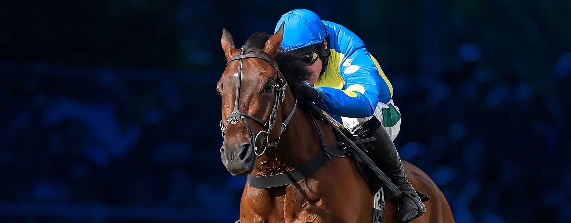 EC-10574-Joint-LP-Tablet-Desktop-1920x750_V2_Horseracing