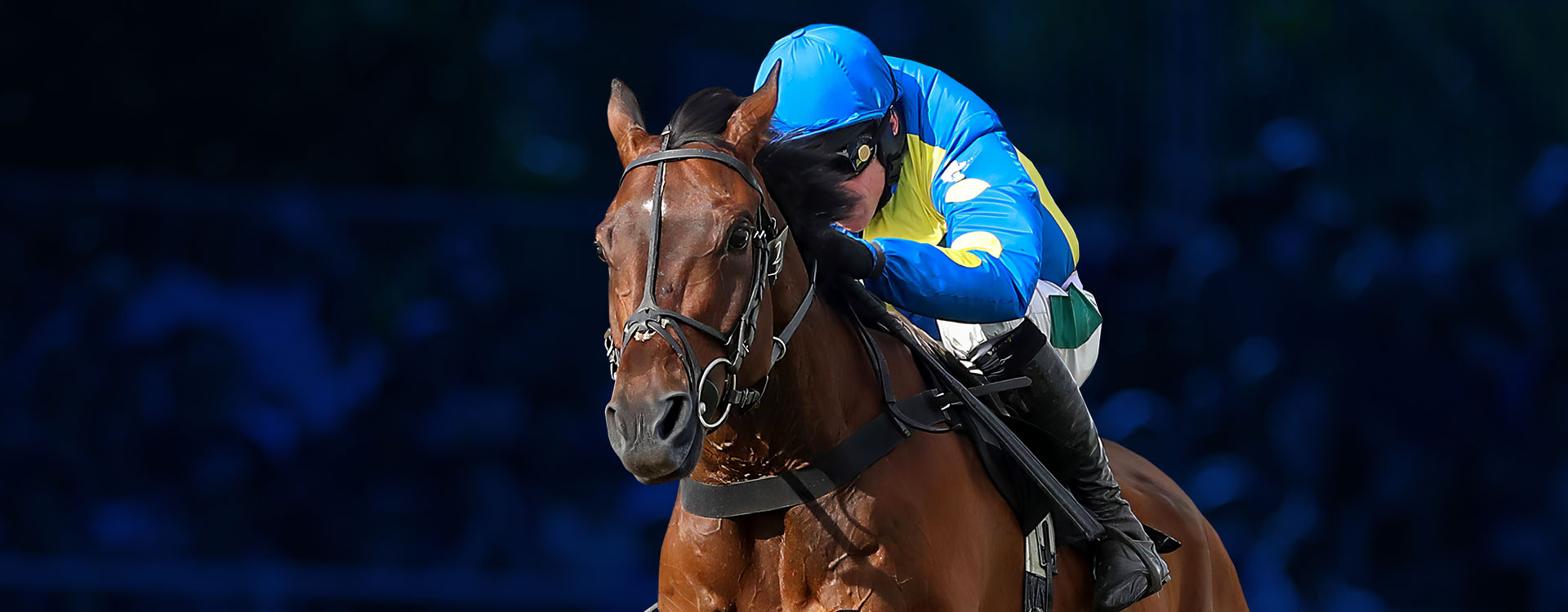 EC-10574-Joint-LP-Tablet-Desktop-1920x750_V2_Horseracing